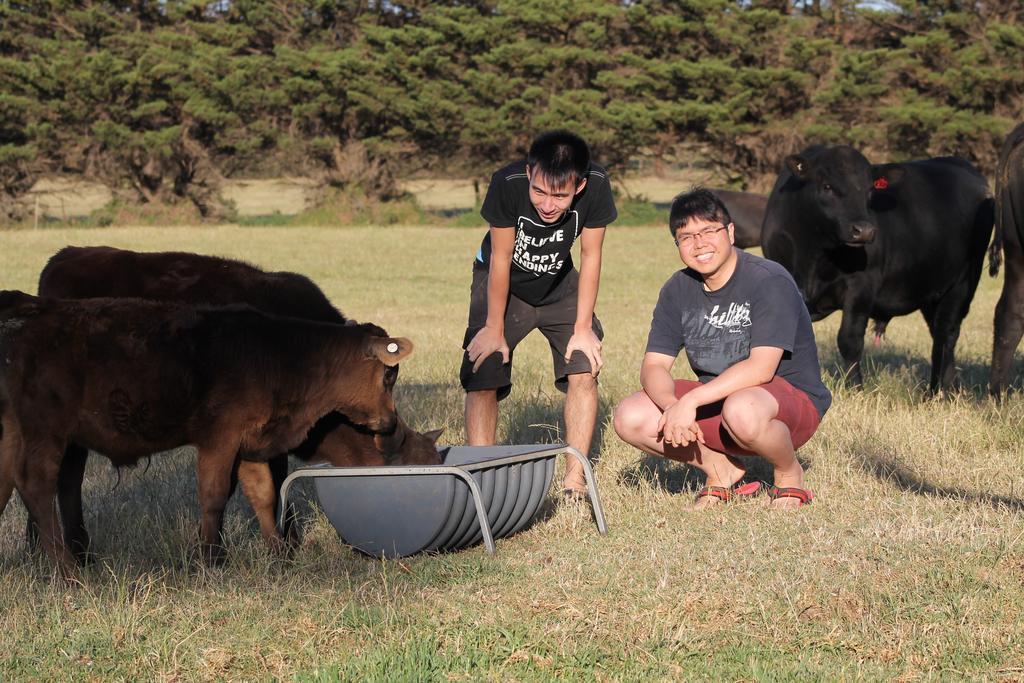 Bimbadeen Phillip Island Farm Retreats Ventnor Экстерьер фото