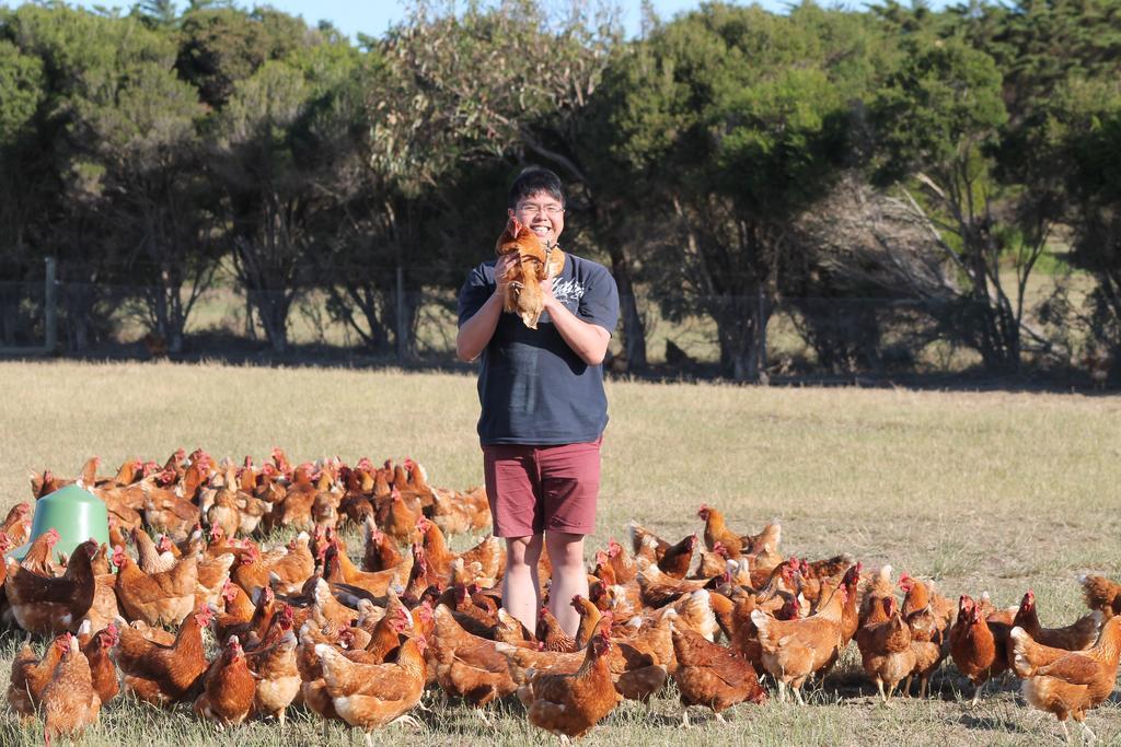 Bimbadeen Phillip Island Farm Retreats Ventnor Экстерьер фото